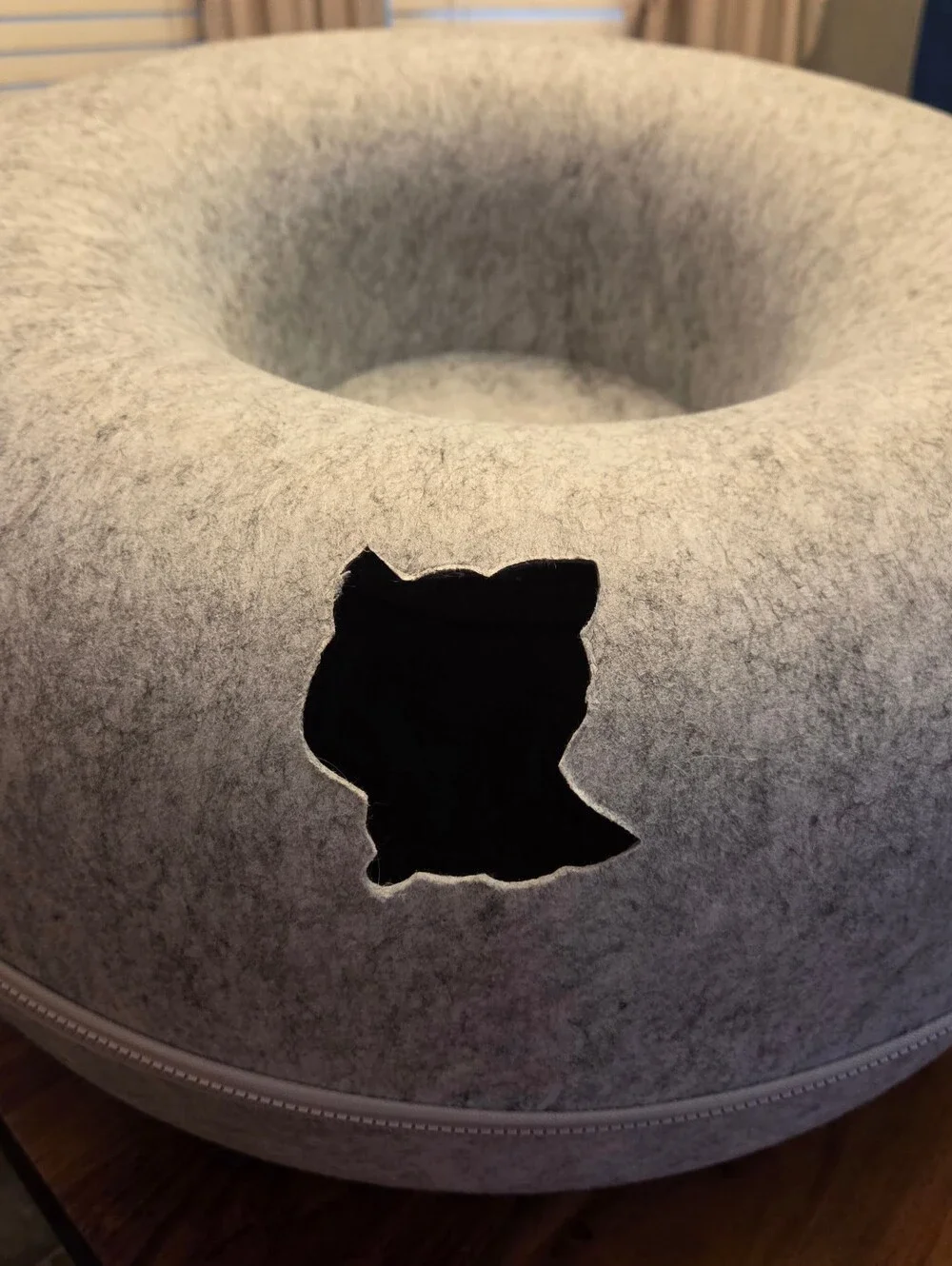 Cattasaurus Peekaboo Cat Cave Donut